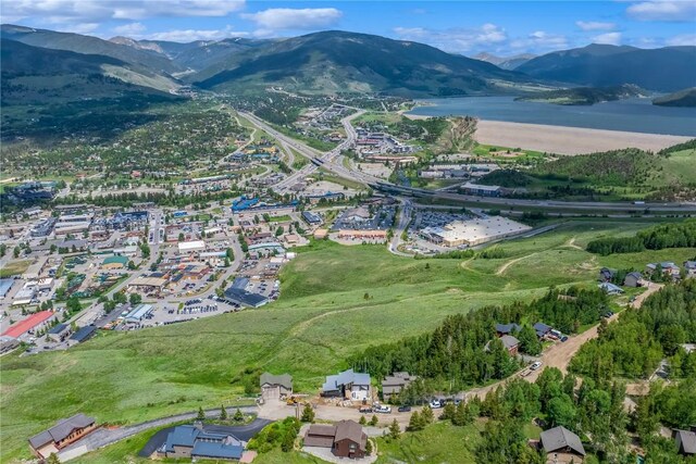 512 Lake View Dr, Silverthorne, CO 80498 - photo 33