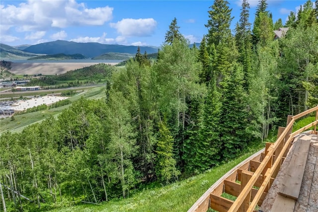 512 Lake View Dr, Silverthorne, CO 80498 - photo 3
