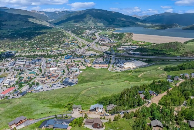 512 Lake View Dr, Silverthorne, CO 80498 - photo 4