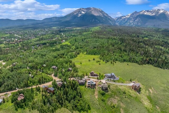 512 Lake View Dr, Silverthorne, CO 80498 - photo 32