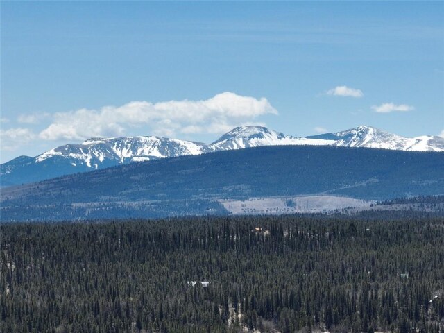 0 Beaver Ridge Rd, Fairplay, CO 80440 - photo 16