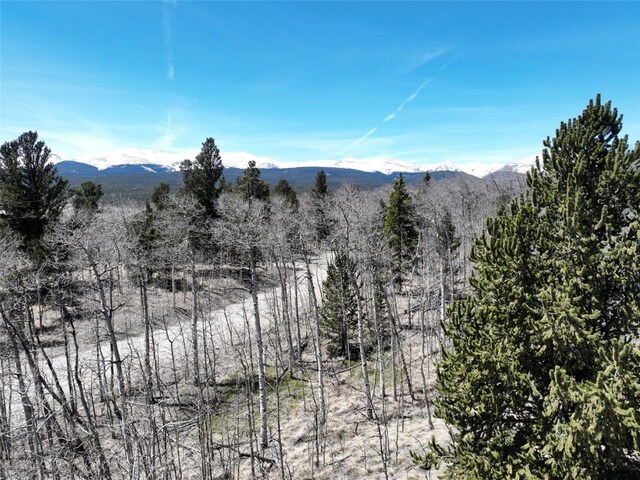 0 Beaver Ridge Rd, Fairplay, CO 80440 - photo 4