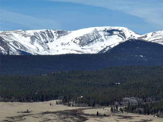 0 Beaver Ridge Rd, Fairplay, CO 80440 - photo 15