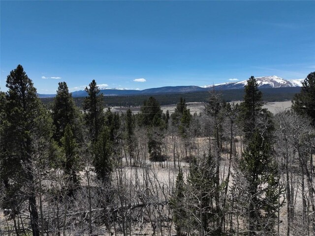 0 Beaver Ridge Rd, Fairplay, CO 80440 - photo 1