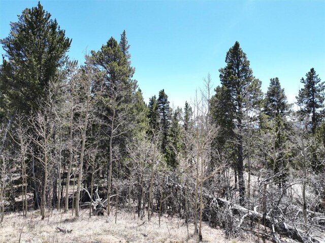 0 Beaver Ridge Rd, Fairplay, CO 80440 - photo 6