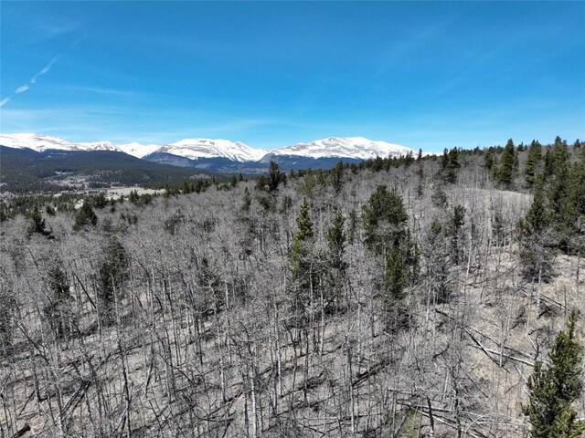 0 Beaver Ridge Rd, Fairplay, CO 80440 - photo 10