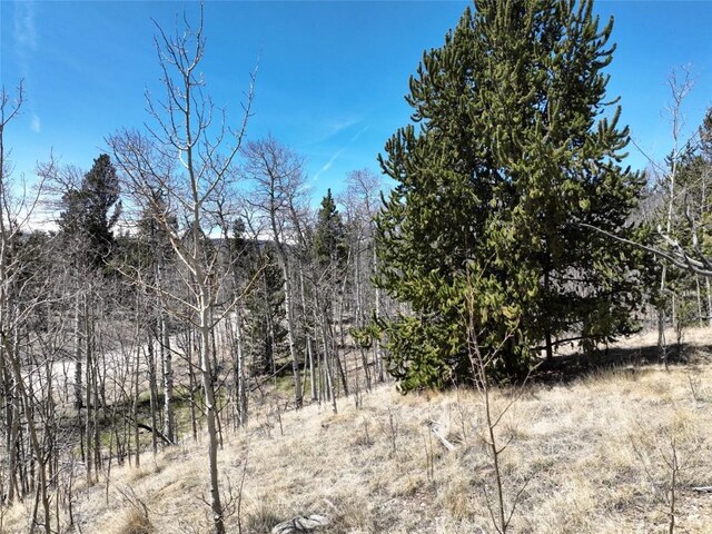 0 Beaver Ridge Rd, Fairplay, CO 80440 - photo 9