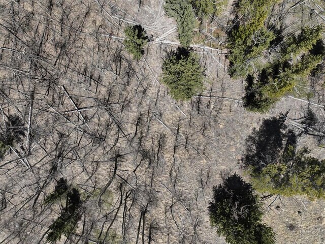0 Beaver Ridge Rd, Fairplay, CO 80440 - photo 11