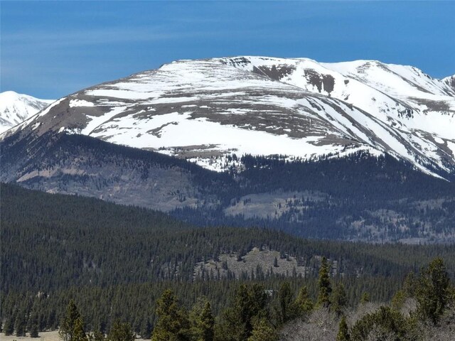 0 Beaver Ridge Rd, Fairplay, CO 80440 - photo 12