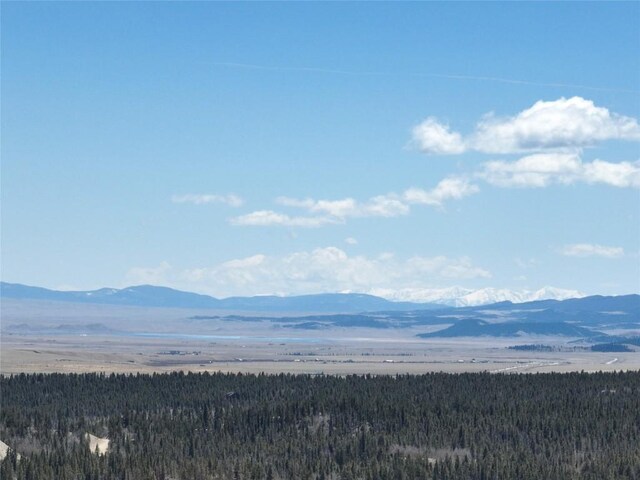 0 Beaver Ridge Rd, Fairplay, CO 80440 - photo 17