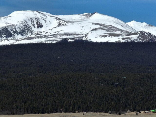 0 Beaver Ridge Rd, Fairplay, CO 80440 - photo 13