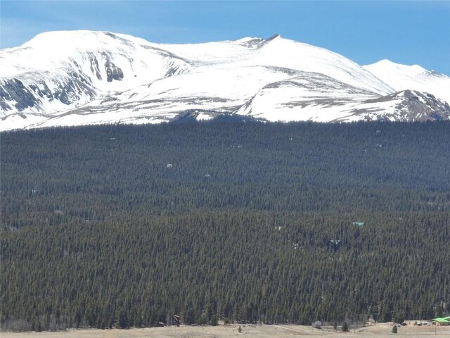 0 Beaver Ridge Rd, Fairplay, CO 80440 - photo 14
