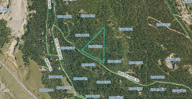 0 Beaver Ridge Rd, Fairplay, CO 80440 - photo 18