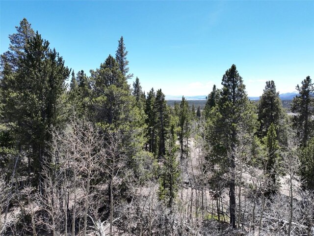 0 Beaver Ridge Rd, Fairplay, CO 80440 - photo 5