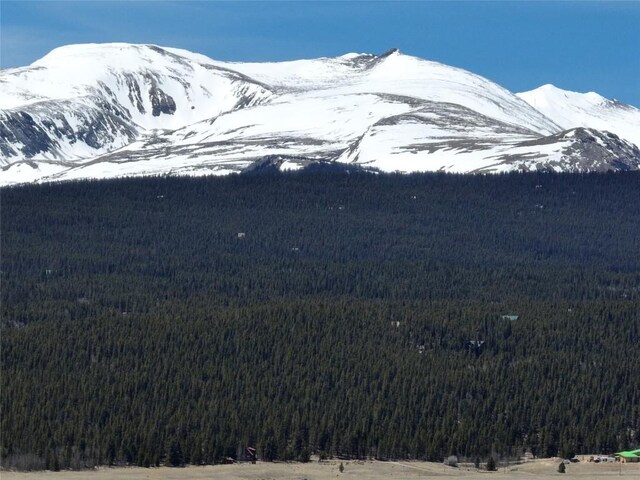 0 Beaver Ridge Rd, Fairplay, CO 80440 - photo 2
