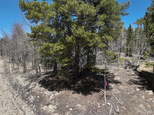 0 Beaver Ridge Rd, Fairplay, CO 80440 - photo 3