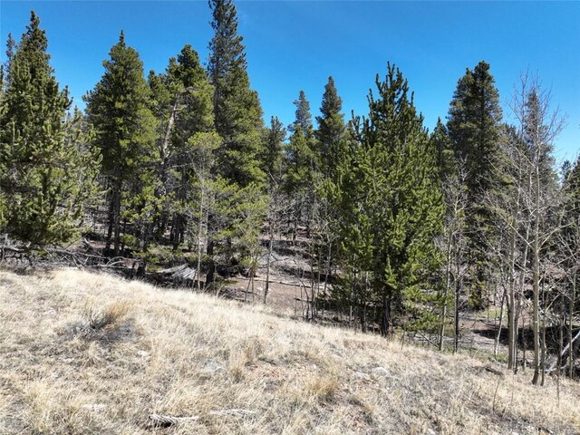 0 Beaver Ridge Rd, Fairplay, CO 80440 - photo 7