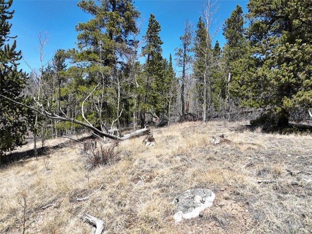 0 Beaver Ridge Rd, Fairplay, CO 80440 - photo 8