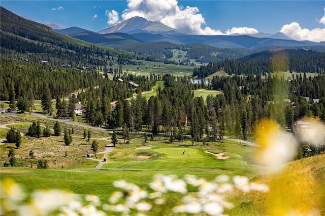 140 Ida Belle Dr Unit 8214, Keystone, CO 80435