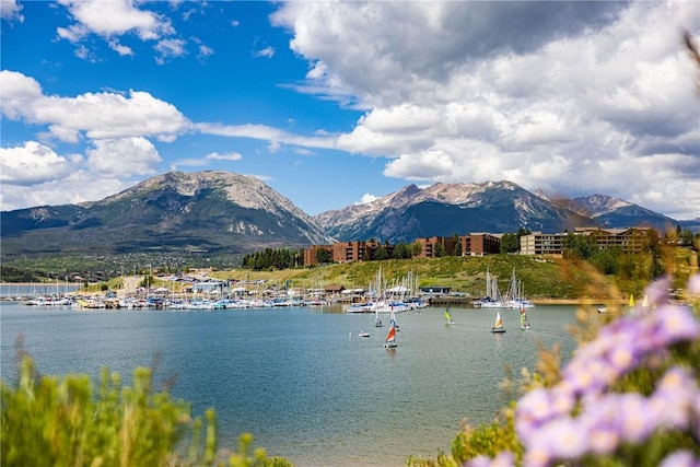 140 Ida Belle Dr Unit 8214, Keystone, CO 80435