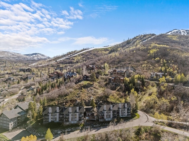 aerial view with a mountain view