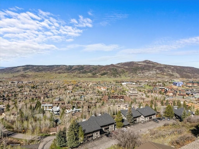 birds eye view of property featuring a residential view and a mountain view