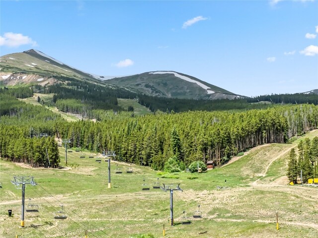 1521 Ski Hill Rd Unit 8424, Breckenridge, CO 80424 - view of mountain background