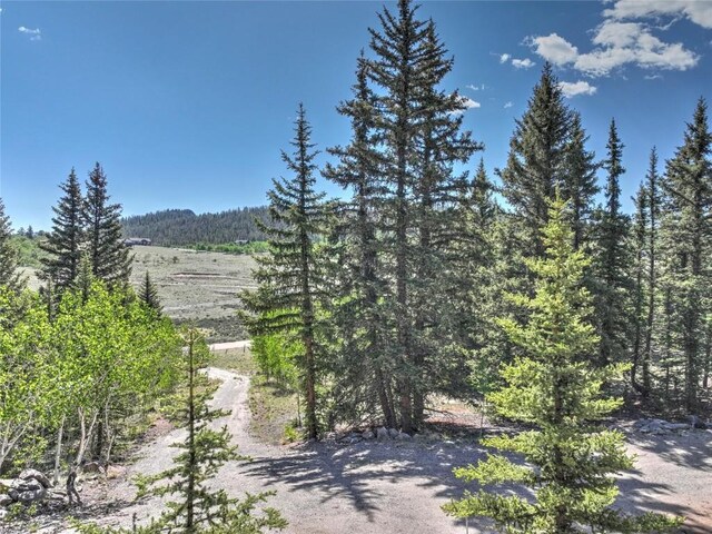 2377 Stagestop Rd, Jefferson, CO 80456 - photo 6