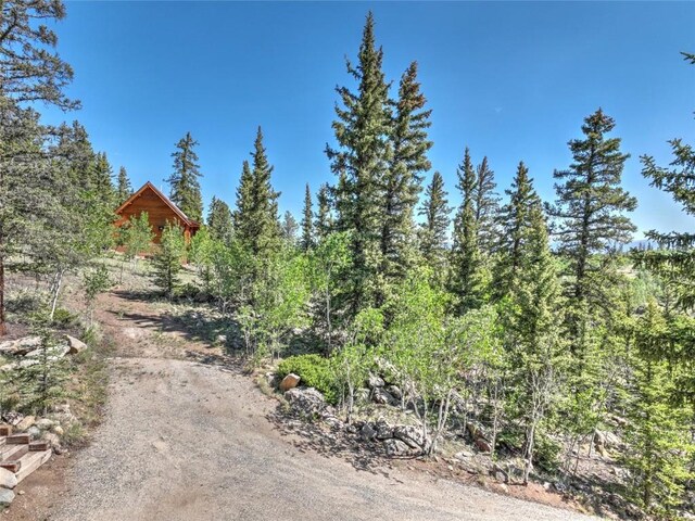 2377 Stagestop Rd, Jefferson, CO 80456 - photo 11
