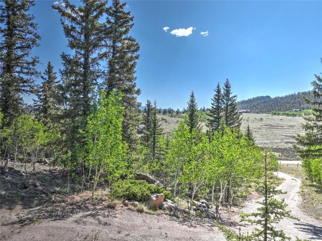 2377 Stagestop Rd, Jefferson, CO 80456 - photo 7