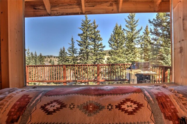 2377 Stagestop Rd, Jefferson, CO 80456 - photo 20