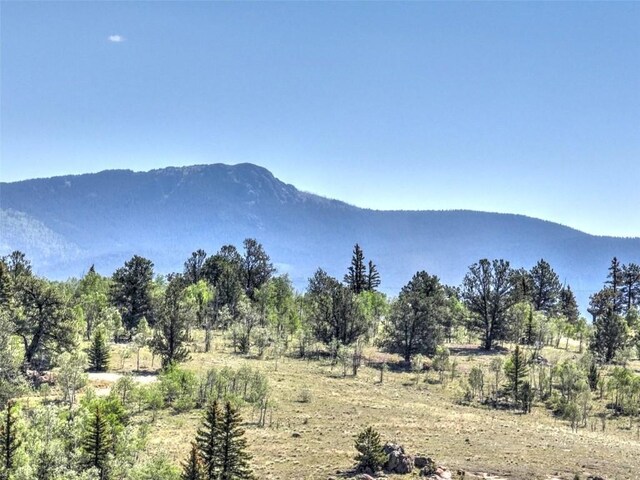 2377 Stagestop Rd, Jefferson, CO 80456 - photo 9