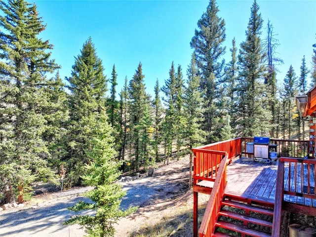 2377 Stagestop Rd, Jefferson, CO 80456 - photo 28