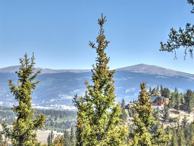 2377 Stagestop Rd, Jefferson, CO 80456 - photo 12