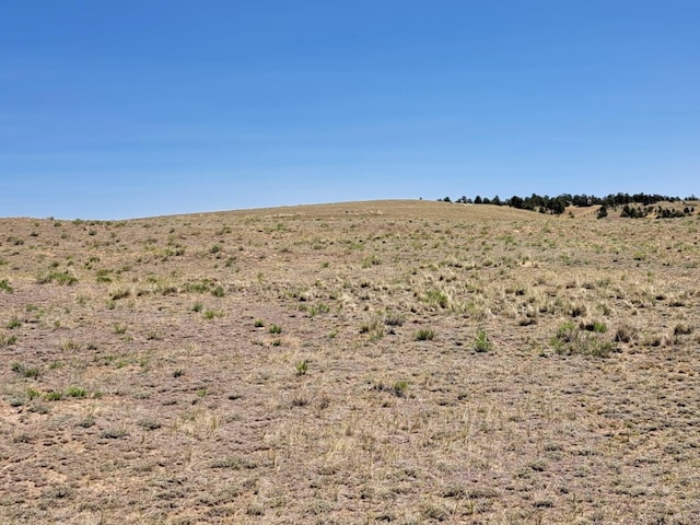 104 Navajo Trl, Hartsel, CO 80449