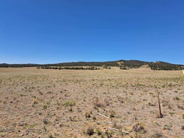 104 Navajo Trl, Hartsel, CO 80449