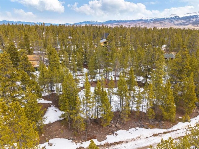 379 Juniper Dr, Twin Lakes, CO 80461