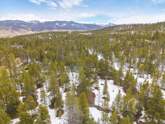 379 Juniper Dr, Twin Lakes, CO 80461