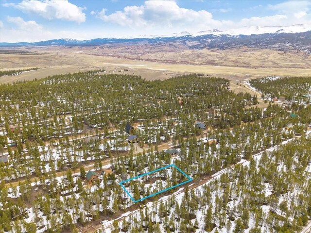 379 Juniper Dr, Twin Lakes, CO 80461
