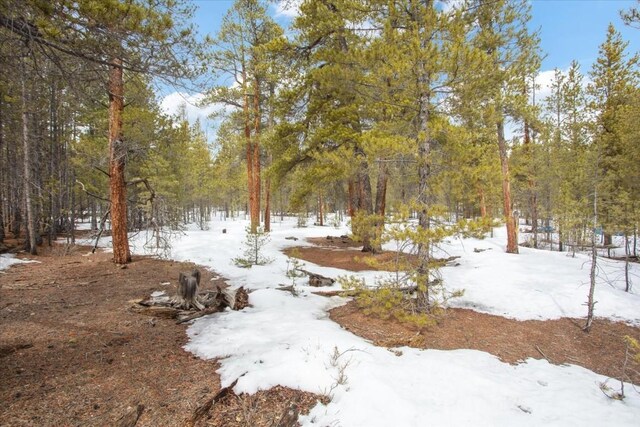 379 Juniper Dr, Twin Lakes, CO 80461