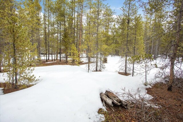 379 Juniper Dr, Twin Lakes, CO 80461