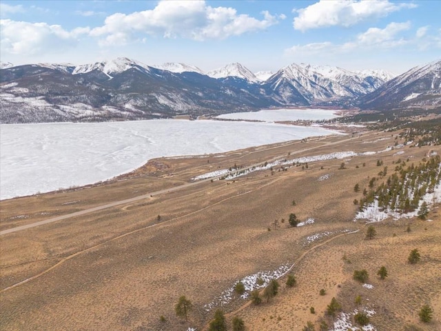 379 Juniper Dr, Twin Lakes, CO 80461