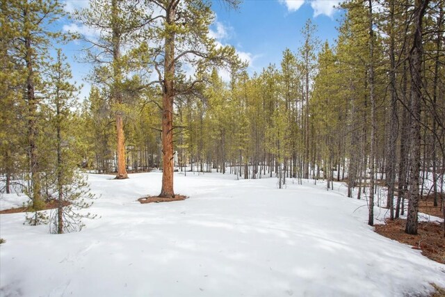 379 Juniper Dr, Twin Lakes, CO 80461