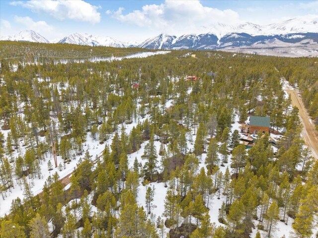 379 Juniper Dr, Twin Lakes, CO 80461