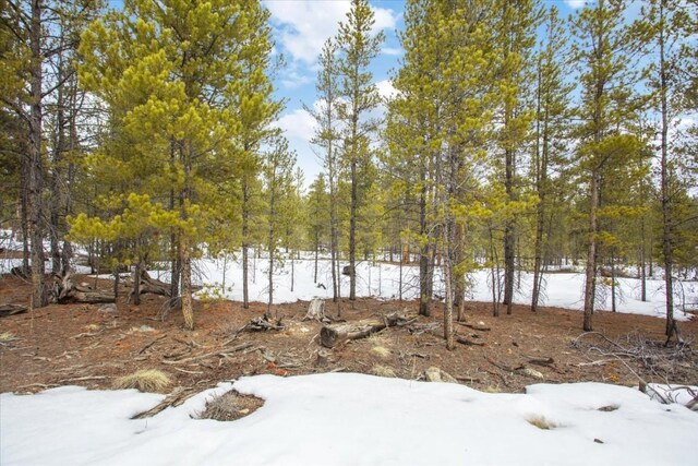 379 Juniper Dr, Twin Lakes, CO 80461