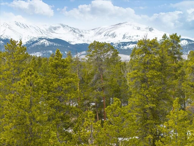 379 Juniper Dr, Twin Lakes, CO 80461