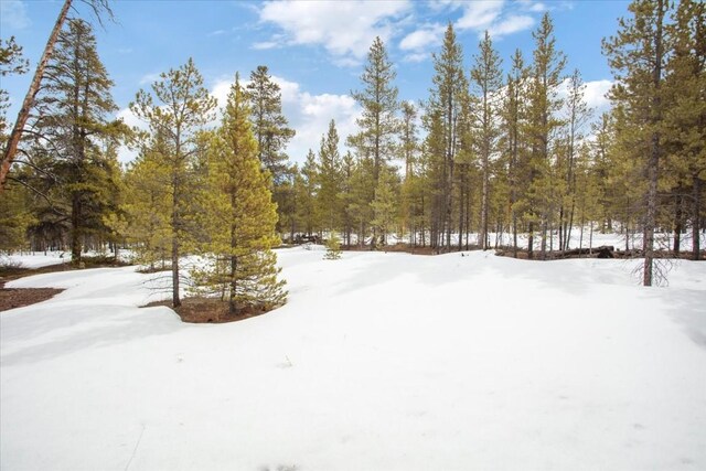 379 Juniper Dr, Twin Lakes, CO 80461