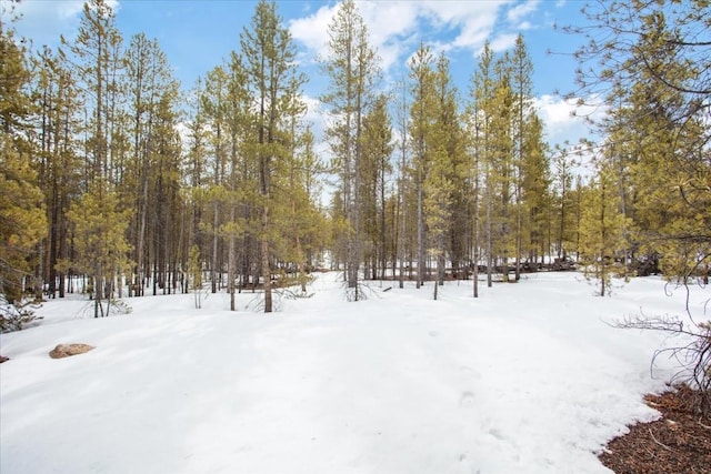 379 Juniper Dr, Twin Lakes, CO 80461