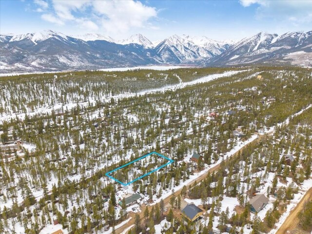 379 Juniper Dr, Twin Lakes, CO 80461