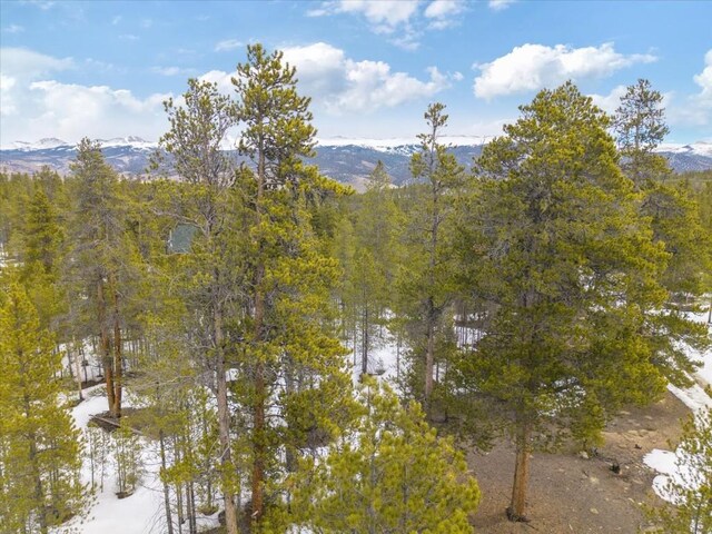 379 Juniper Dr, Twin Lakes, CO 80461